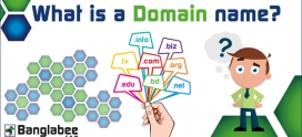 What is a Domain name?